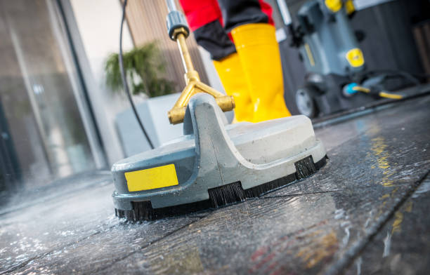Best Roof Pressure Washing  in Roseto, PA