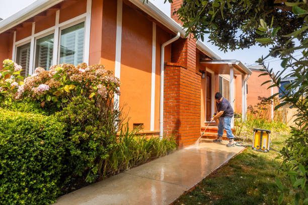 Best Exterior Home Cleaning  in Roseto, PA