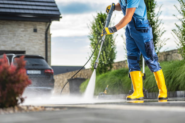 Best House Pressure Washing  in Roseto, PA